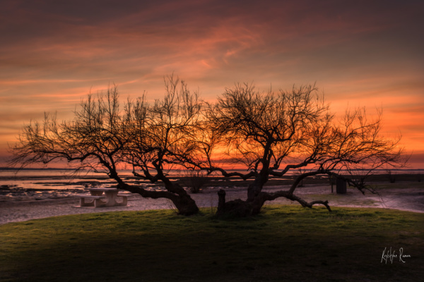 coucher de soleil sur le tamaris, rameur sur le bassin, krystyne Ramon , photos de paysages mer