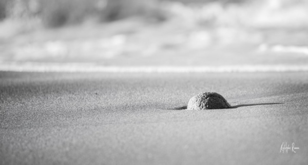 Boule de sable, ocean, krystyne Ramon , photos de paysages mer