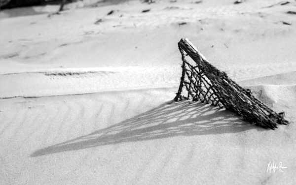 ombre filet brise vent coco pour sable- krystyne ramon- noir et blanc