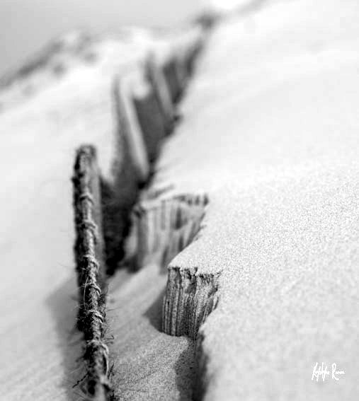 petite falaise de sable, noir et blanc, krystyne ramon photos de paysages mer