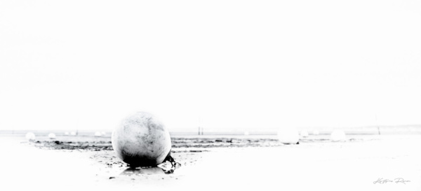 corps-mort, fond blanc, krystyne ramon photos de paysages mer