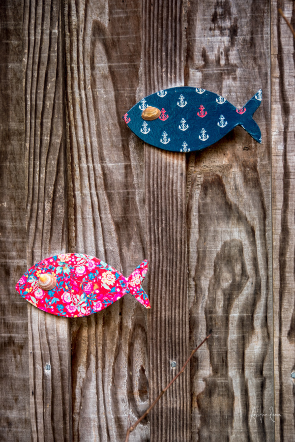 deco poisson couleur sur porte, krystyne ramon photos de paysages mer