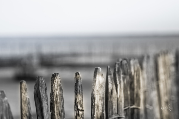 barriere bois, couleur, krystyne ramon photos de paysages mer